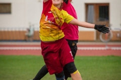 img_2010_37162175322_o